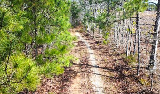 Photo #16 of SOLD property in Off Goodes Ferry Road, South Hill, VA 53.5 acres
