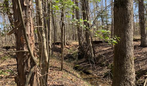 Photo #18 of SOLD property in Off Goodes Ferry Road, South Hill, VA 53.5 acres