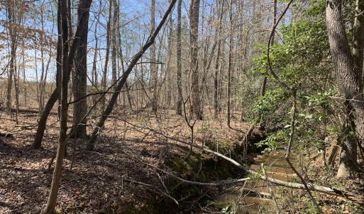 Photo #19 of SOLD property in Off Goodes Ferry Road, South Hill, VA 53.5 acres