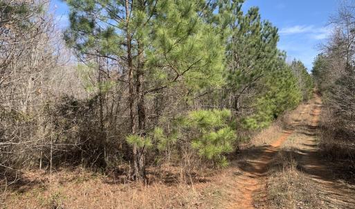 Photo #21 of SOLD property in Off Goodes Ferry Road, South Hill, VA 53.5 acres