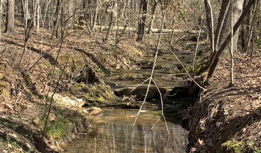 Photo #22 of SOLD property in Off Goodes Ferry Road, South Hill, VA 53.5 acres