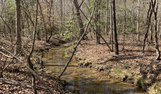 Photo #23 of SOLD property in Off Goodes Ferry Road, South Hill, VA 53.5 acres