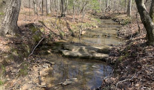 Photo #24 of SOLD property in Off Goodes Ferry Road, South Hill, VA 53.5 acres