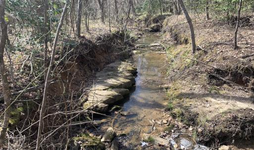 Photo #25 of SOLD property in Off Goodes Ferry Road, South Hill, VA 53.5 acres