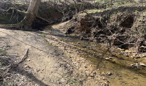 Photo #26 of SOLD property in Off Goodes Ferry Road, South Hill, VA 53.5 acres