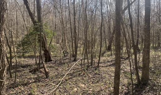 Photo #27 of SOLD property in Off Goodes Ferry Road, South Hill, VA 53.5 acres