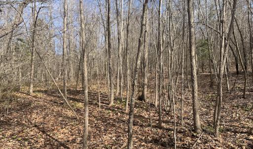 Photo #28 of Off Goodes Ferry Road, South Hill, VA 53.5 acres