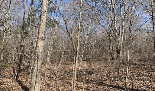 Photo #29 of Off Goodes Ferry Road, South Hill, VA 53.5 acres