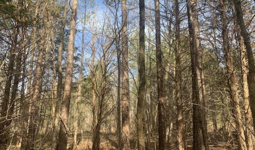 Photo #31 of SOLD property in Off Goodes Ferry Road, South Hill, VA 53.5 acres
