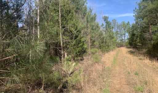 Photo #32 of SOLD property in Off Goodes Ferry Road, South Hill, VA 53.5 acres