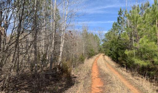 Photo #35 of SOLD property in Off Goodes Ferry Road, South Hill, VA 53.5 acres