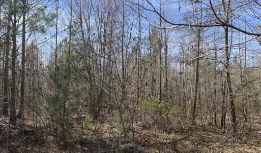 Photo #36 of SOLD property in Off Goodes Ferry Road, South Hill, VA 53.5 acres
