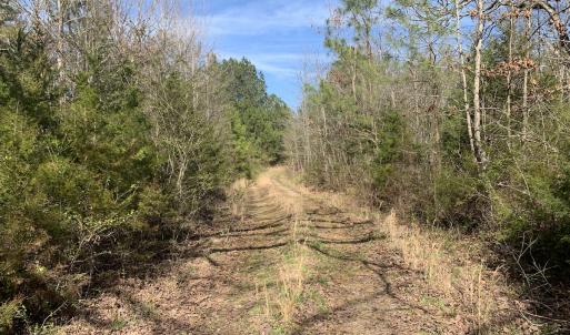 Photo #38 of SOLD property in Off Goodes Ferry Road, South Hill, VA 53.5 acres
