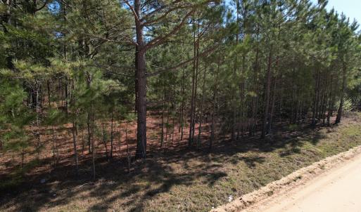 Photo #11 of Off Brenwood Road, Lake View, SC 1.5 acres