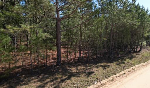 Photo #11 of SOLD property in Off Brenwood Road, Lake View, SC 1.5 acres