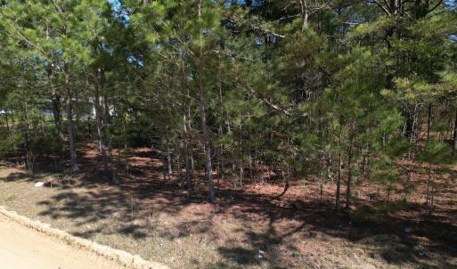 Photo #12 of SOLD property in Off Brenwood Road, Lake View, SC 1.5 acres