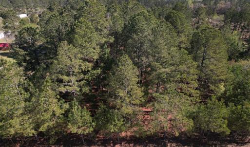 Photo #3 of SOLD property in Off Brenwood Road, Lake View, SC 1.5 acres