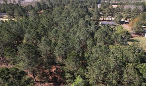 Photo #4 of SOLD property in Off Brenwood Road, Lake View, SC 1.5 acres