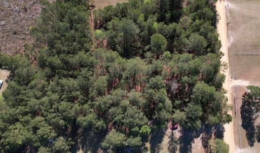 Photo #5 of SOLD property in Off Brenwood Road, Lake View, SC 1.5 acres