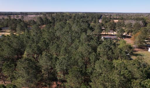 Photo #6 of SOLD property in Off Brenwood Road, Lake View, SC 1.5 acres