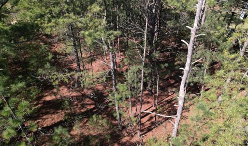 Photo #8 of SOLD property in Off Brenwood Road, Lake View, SC 1.5 acres