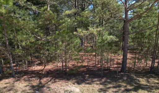 Photo #9 of SOLD property in Off Brenwood Road, Lake View, SC 1.5 acres