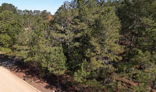 Photo #10 of SOLD property in Off Brenwood Road, Lake View, SC 1.5 acres