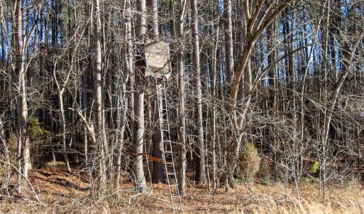 Photo #10 of SOLD property in Off Western Mill Road, Lawrenceville, VA 36.2 acres