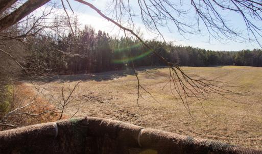 Photo #11 of SOLD property in Off Western Mill Road, Lawrenceville, VA 36.2 acres