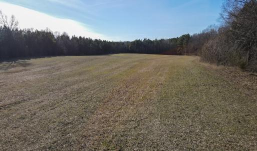 Photo #12 of SOLD property in Off Western Mill Road, Lawrenceville, VA 36.2 acres