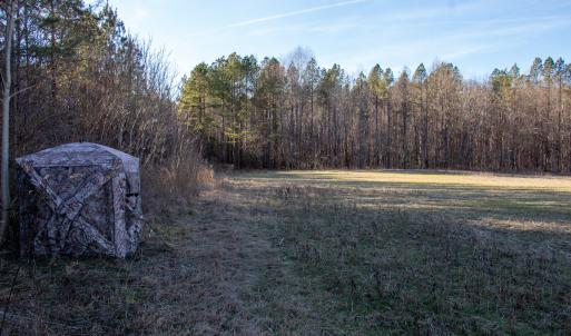 Photo #14 of SOLD property in Off Western Mill Road, Lawrenceville, VA 36.2 acres