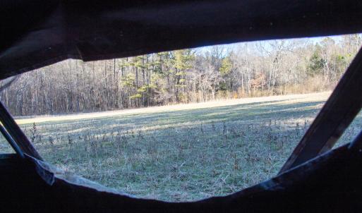 Photo #15 of SOLD property in Off Western Mill Road, Lawrenceville, VA 36.2 acres