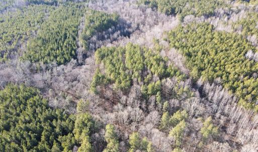 Photo #19 of SOLD property in Off Western Mill Road, Lawrenceville, VA 36.2 acres