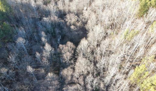 Photo #20 of SOLD property in Off Western Mill Road, Lawrenceville, VA 36.2 acres