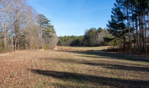 Photo #6 of SOLD property in Off Western Mill Road, Lawrenceville, VA 36.2 acres