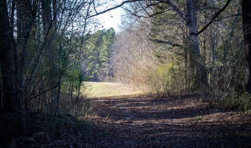 Photo #7 of SOLD property in Off Western Mill Road, Lawrenceville, VA 36.2 acres