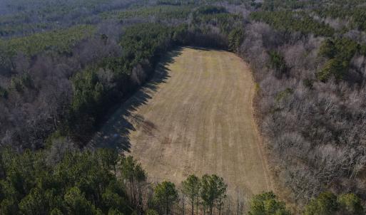 Photo #8 of SOLD property in Off Western Mill Road, Lawrenceville, VA 36.2 acres