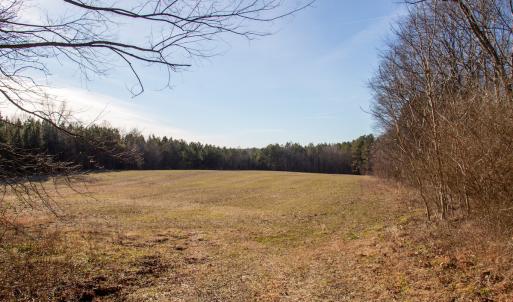 Photo #9 of SOLD property in Off Western Mill Road, Lawrenceville, VA 36.2 acres