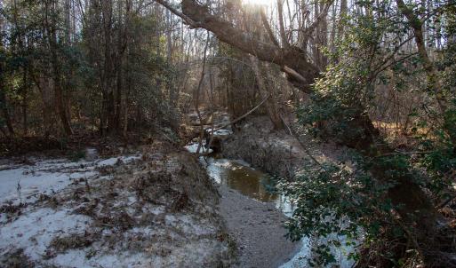 Photo #22 of SOLD property in Off Western Mill Road, Lawrenceville, VA 36.2 acres