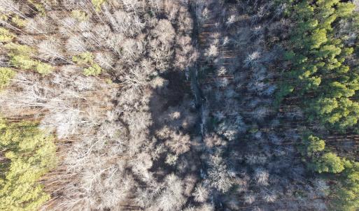 Photo #23 of SOLD property in Off Western Mill Road, Lawrenceville, VA 36.2 acres