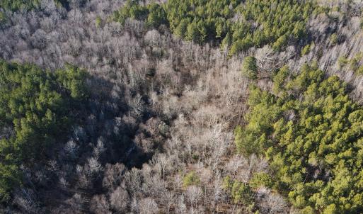 Photo #24 of SOLD property in Off Western Mill Road, Lawrenceville, VA 36.2 acres