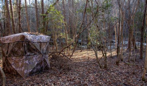 Photo #25 of SOLD property in Off Western Mill Road, Lawrenceville, VA 36.2 acres
