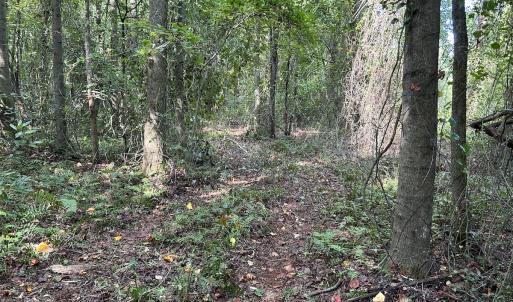 Photo #10 of Off Hwy 50, Rose Hill, NC 8.5 acres