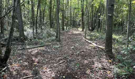 Photo #11 of SOLD property in Off Hwy 50, Rose Hill, NC 8.5 acres