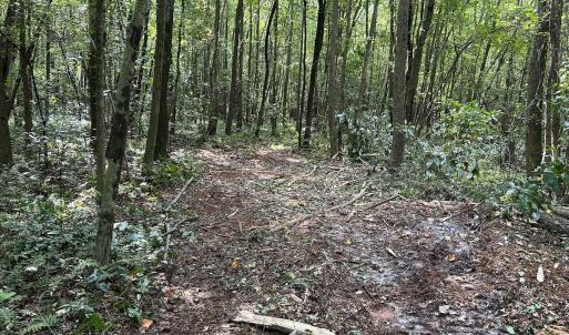 Photo #14 of SOLD property in Off Hwy 50, Rose Hill, NC 8.5 acres