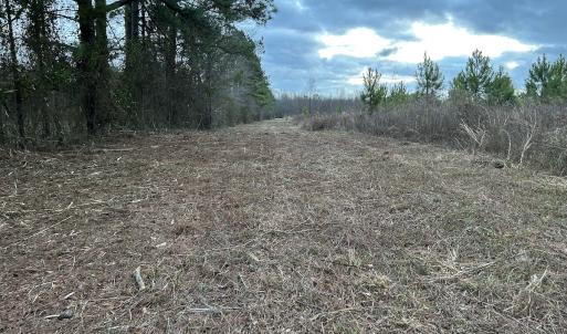 Photo #16 of SOLD property in Off Hwy 50, Rose Hill, NC 8.5 acres