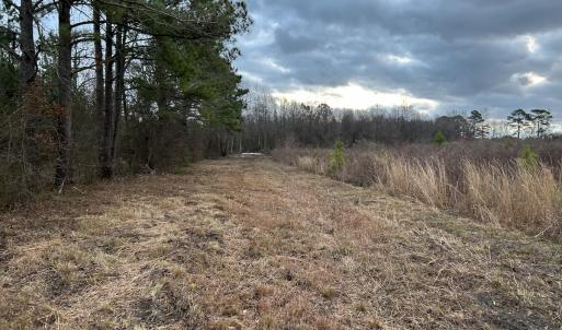 Photo #17 of SOLD property in Off Hwy 50, Rose Hill, NC 8.5 acres