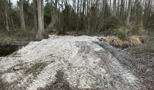 Photo #18 of SOLD property in Off Hwy 50, Rose Hill, NC 8.5 acres