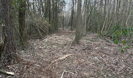 Photo #19 of SOLD property in Off Hwy 50, Rose Hill, NC 8.5 acres
