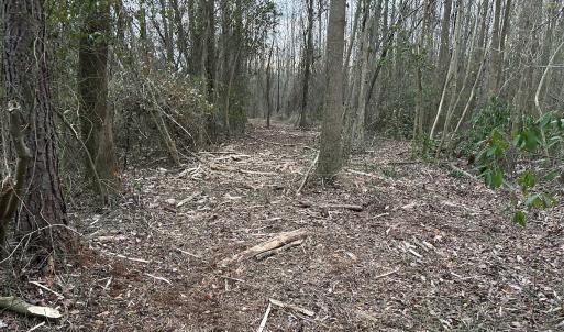 Photo #19 of Off Hwy 50, Rose Hill, NC 8.5 acres
